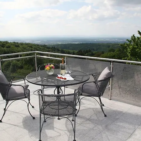 Apartment Sonnenterrasse Baden-Baden